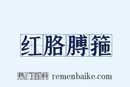 红胳膊箍是什么意思的图片